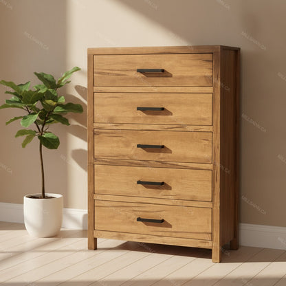 Arya Solid Wood Chest